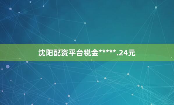 沈阳配资平台税金*****.24元