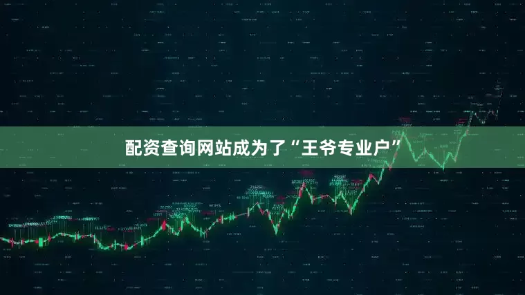 配资查询网站成为了“王爷专业户”