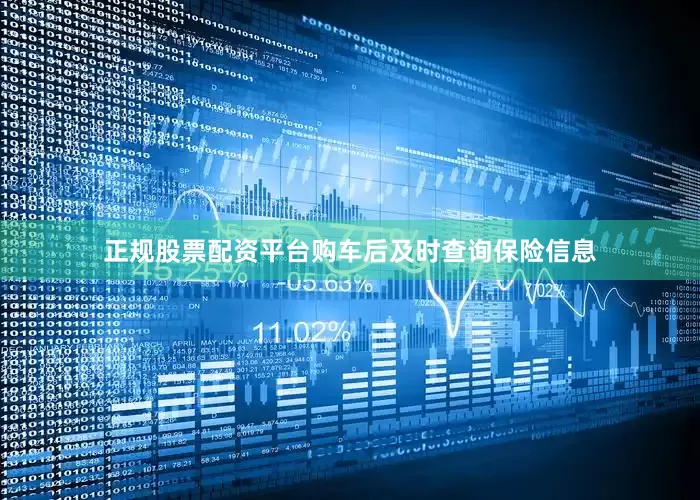 正规股票配资平台购车后及时查询保险信息
