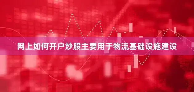 网上如何开户炒股主要用于物流基础设施建设
